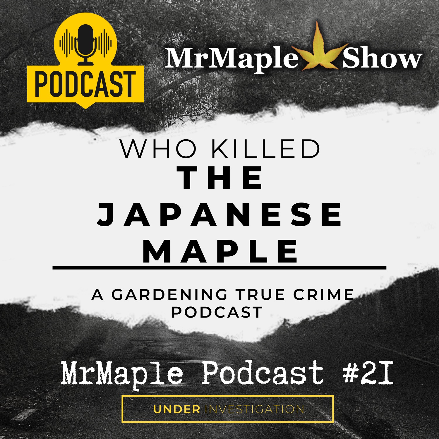 Who Killed The Japanese Maple | A Gardening True Crime Podcast | MrMaple Podcast #21