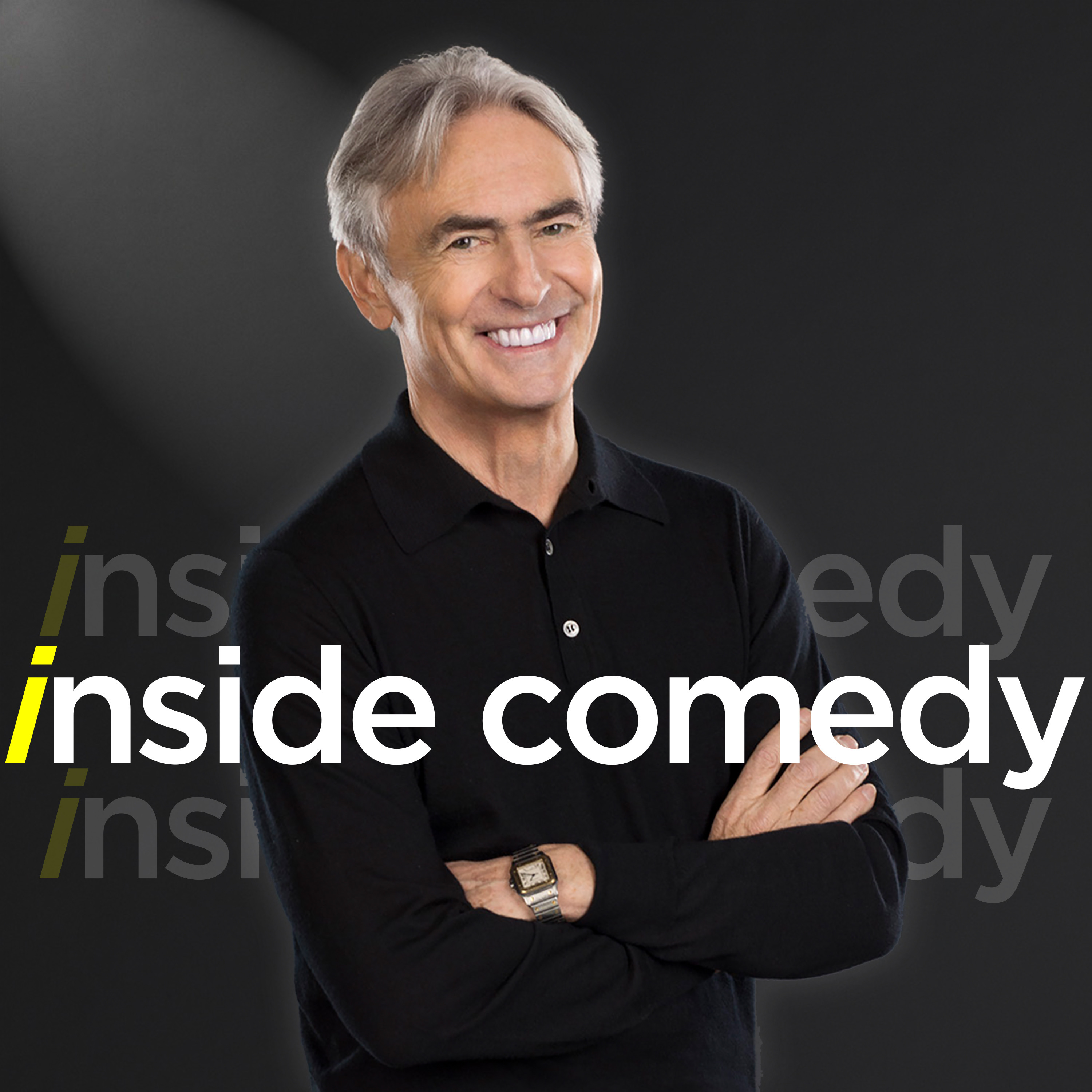Inside Comedy with David Steinberg