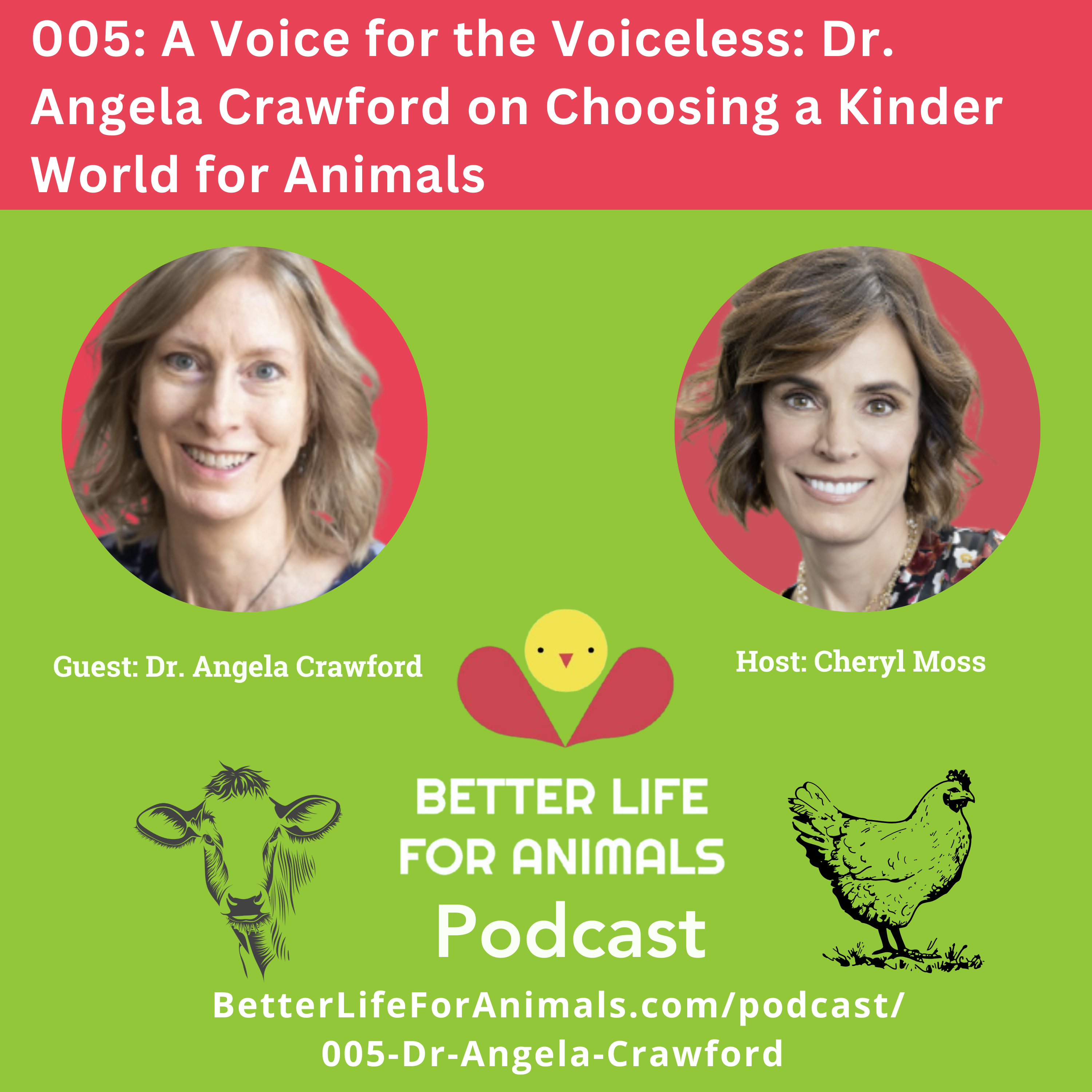 Better Life for Animals