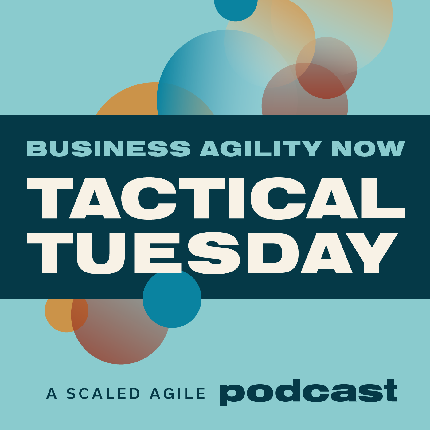 Business Agility Now Podcast