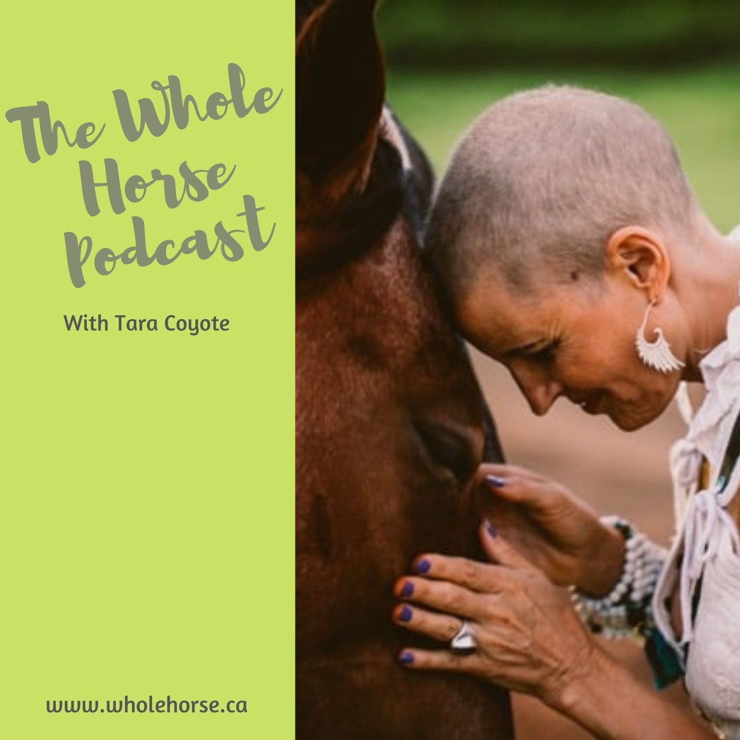 The Whole Horse Podcast with Alexa Linton
