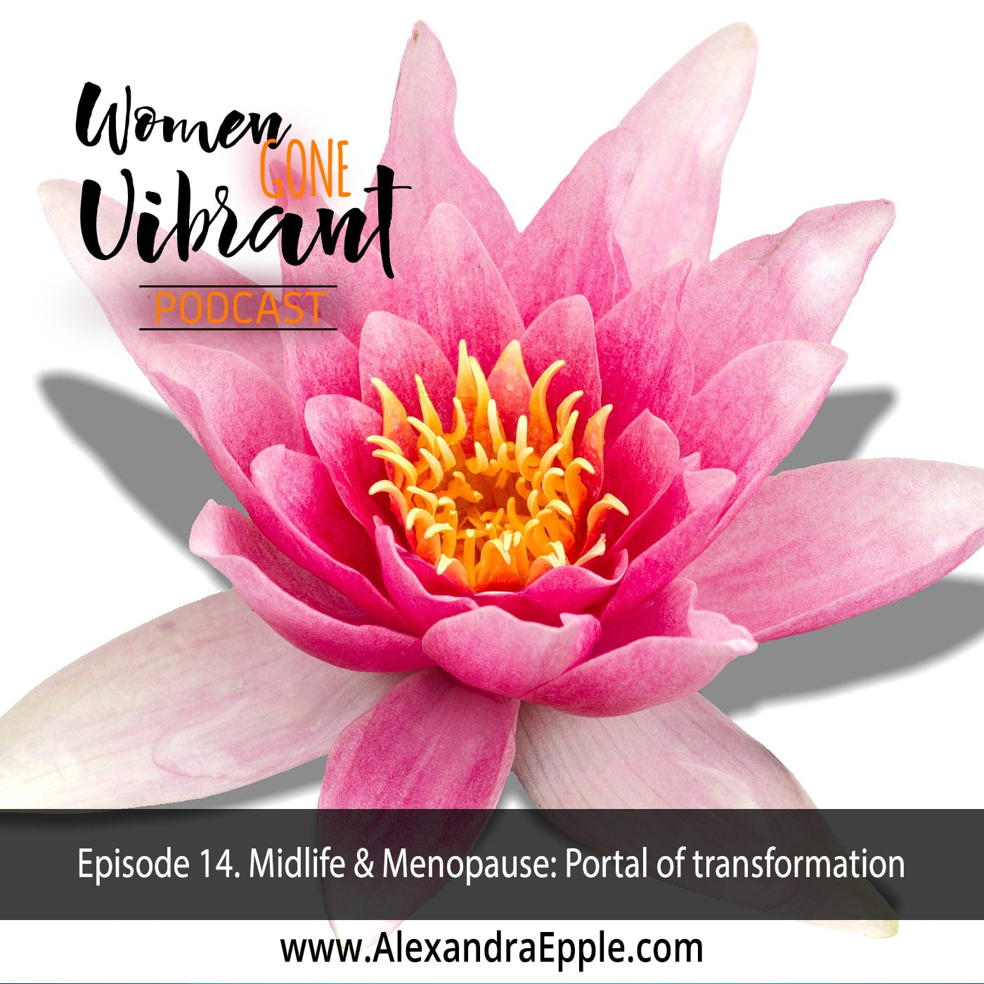 Women Gone Vibrant| Ayurveda for midlife & menopause