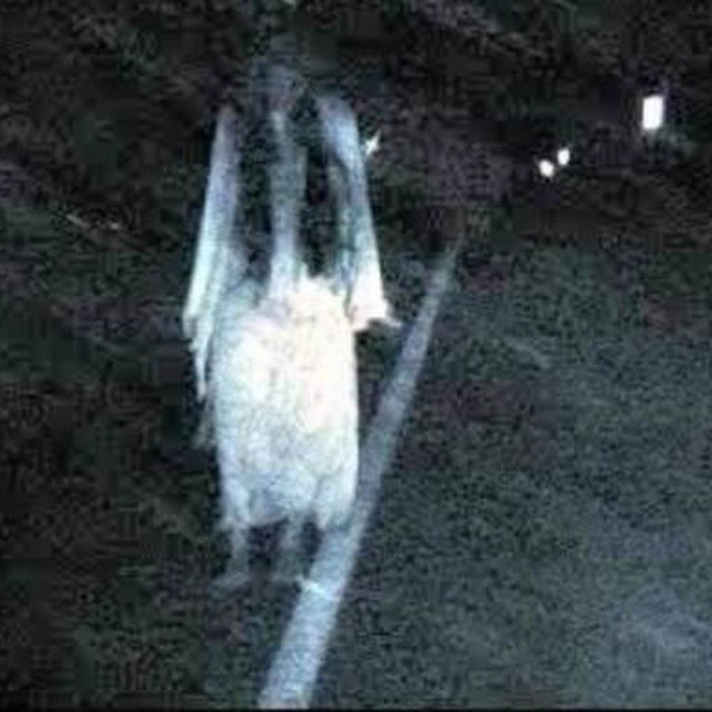 Episode 457 - Divorce Ghost (La Llorona)