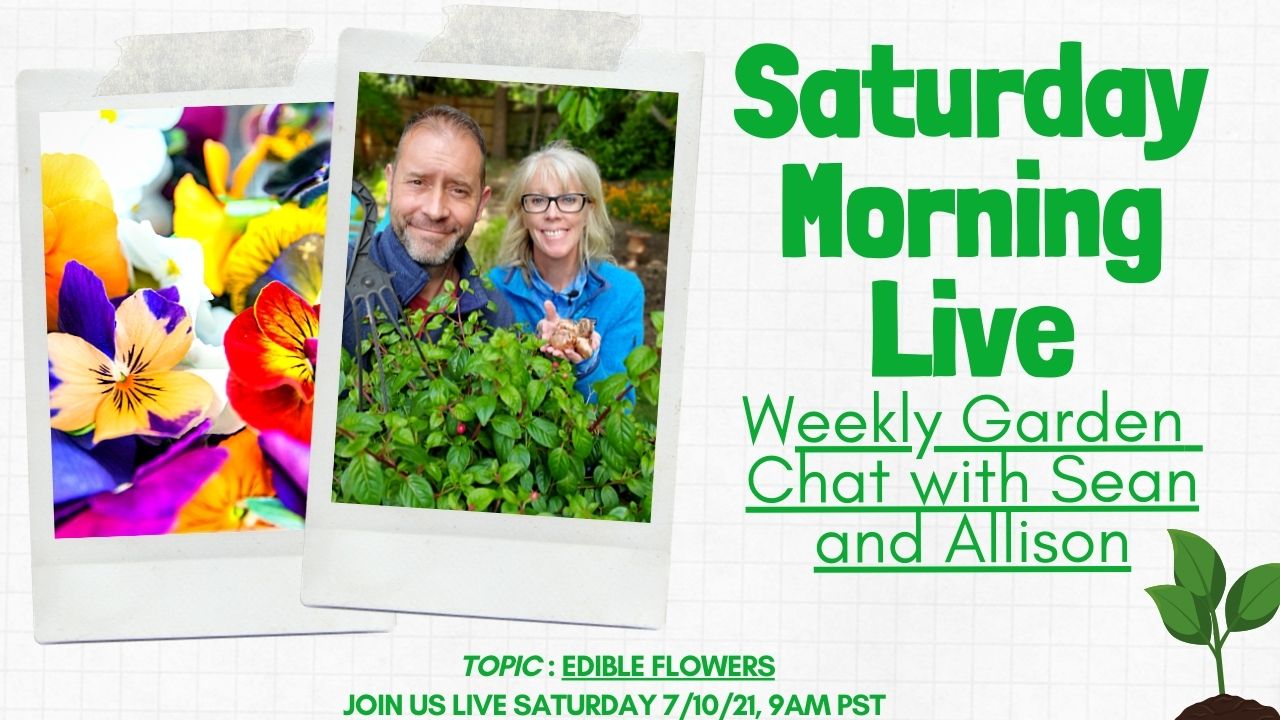 Saturday Morning LIVE YT Garden Chat 7-10-2021 Edible Flower