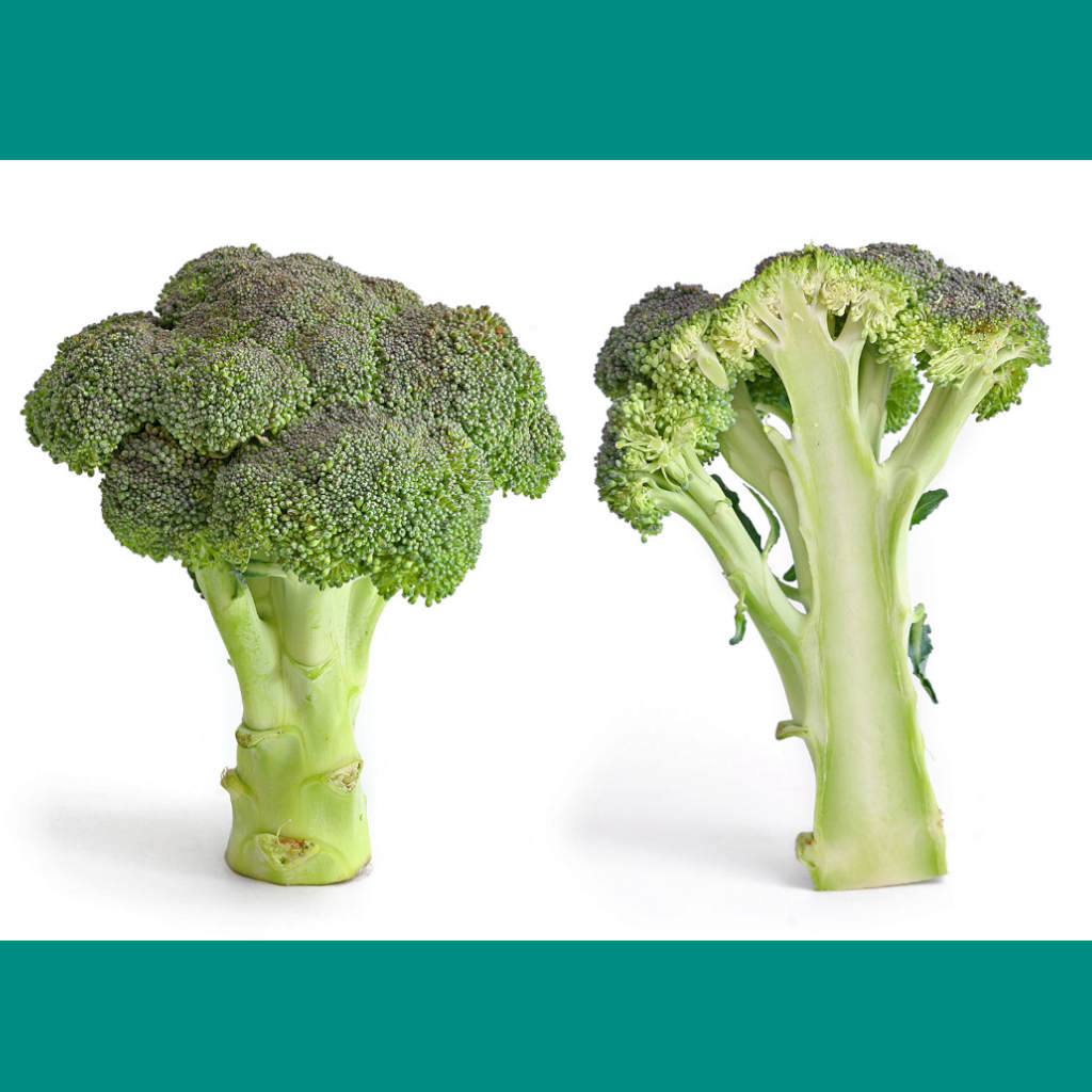 Broccoli Is Good for You