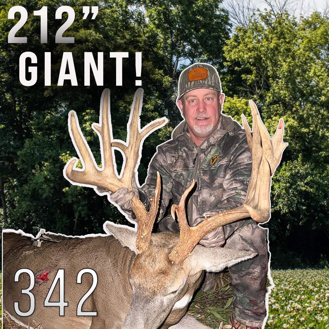 The Quest for a GIANT 212
