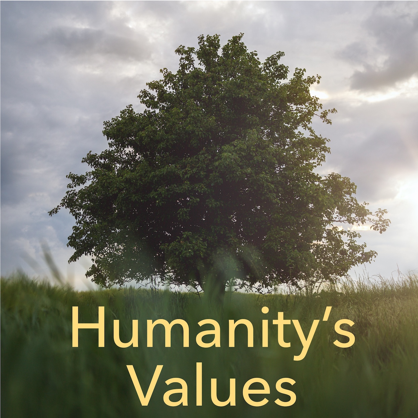 Humanity\'s Values