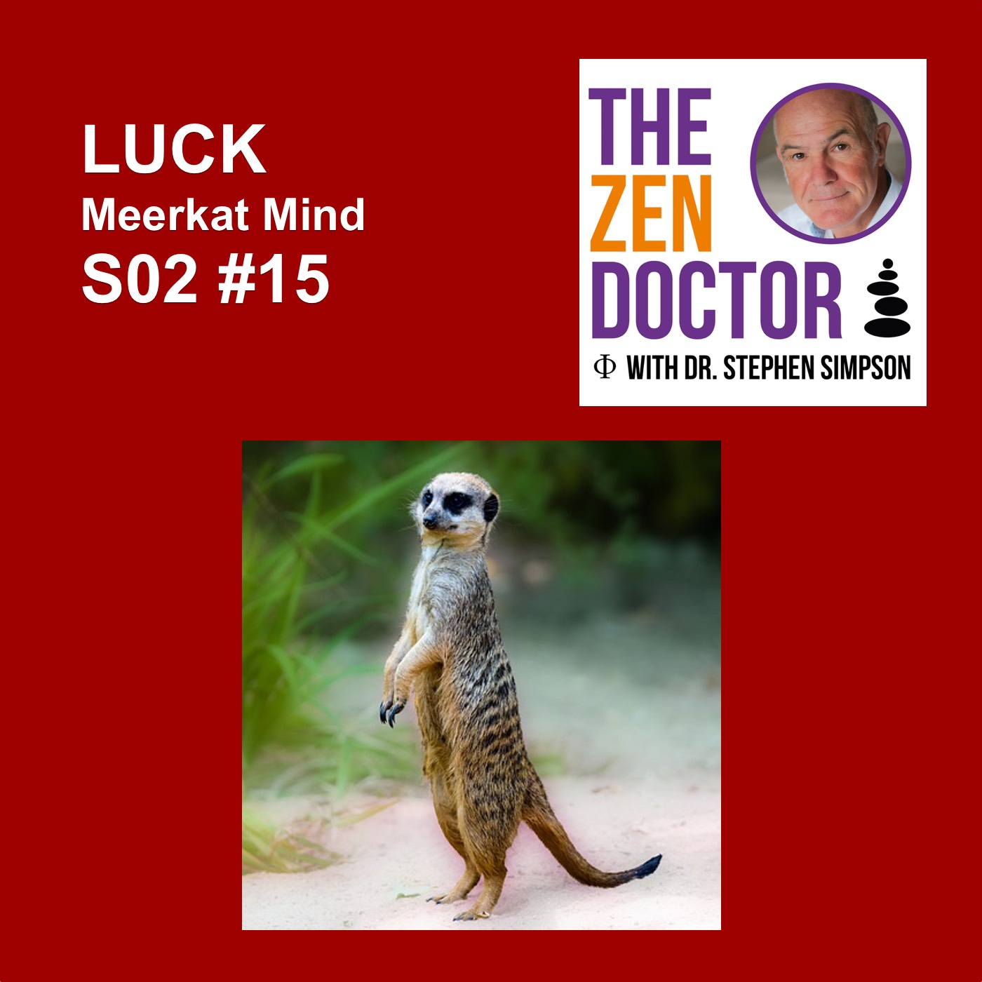 LUCK - Meerkat Mind S02 Ep 15
