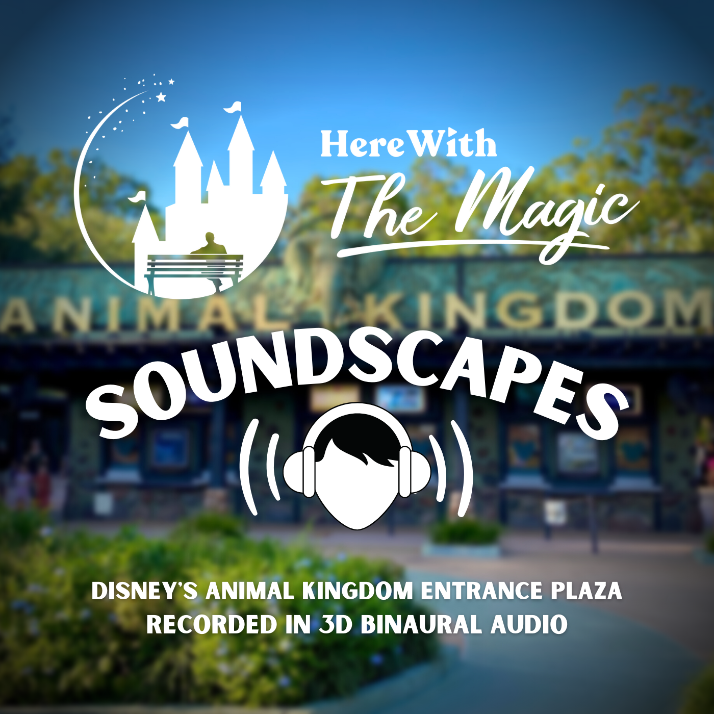 Soundscapes by Here With The Magic