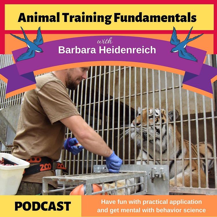 Animal Training Fundamentals with Barbara Heidenreich