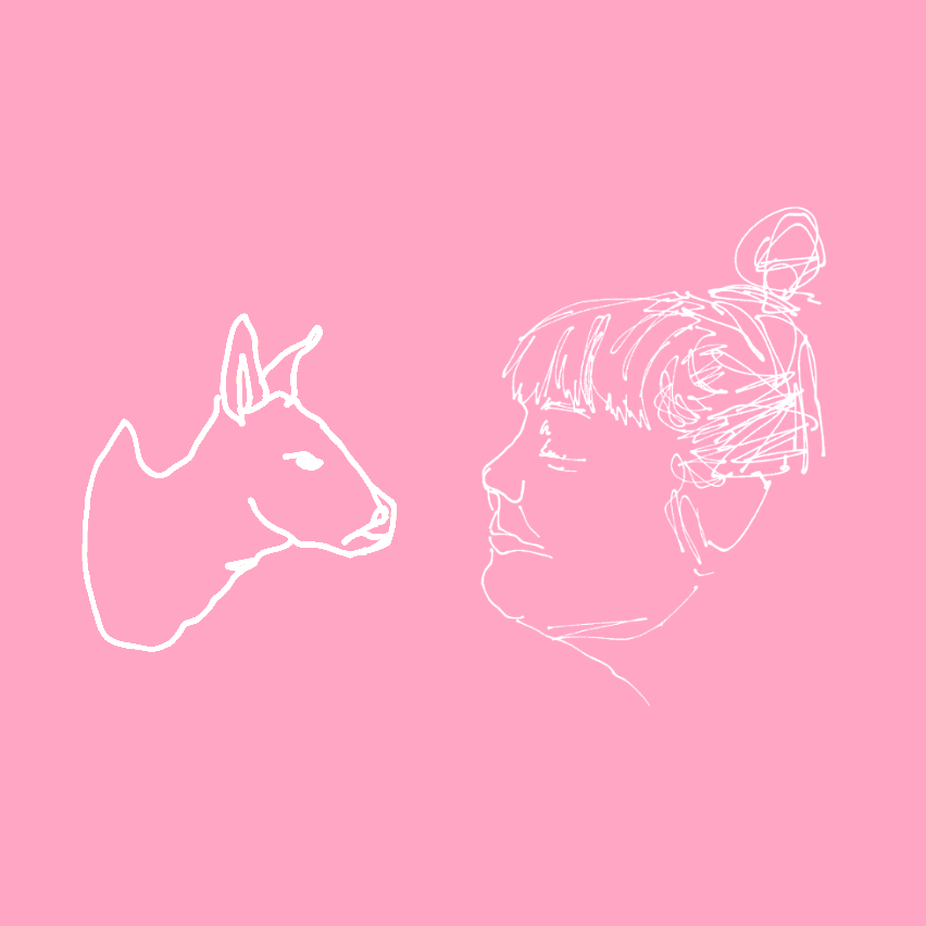 3. Vildsvin, tamiller och tio i topp