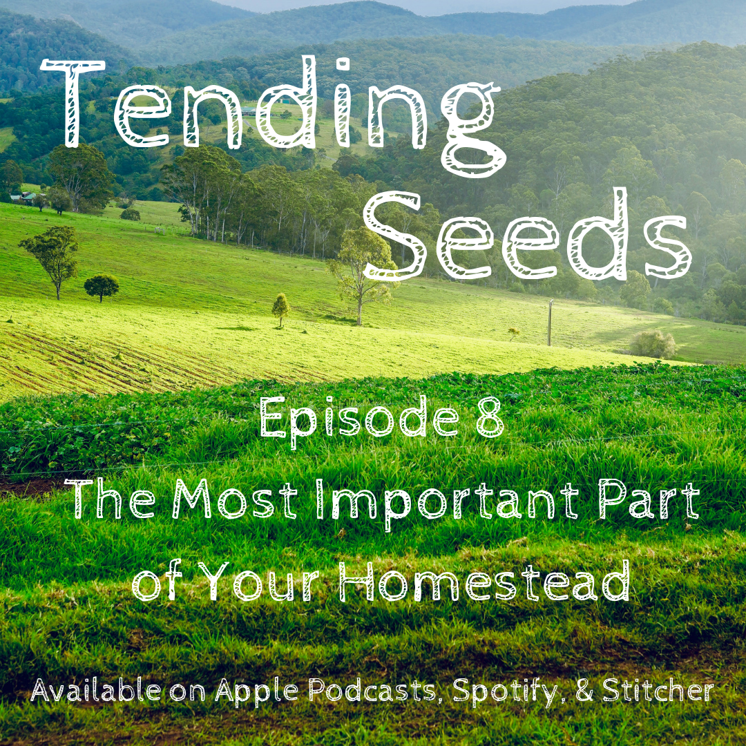 Tending Seeds: Adventures in Gardening, Homesteading, and Herbalism