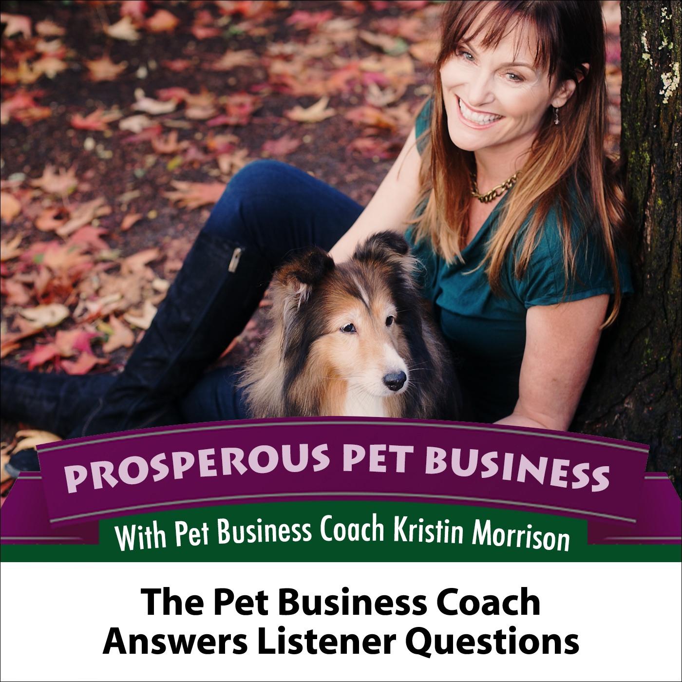 Prosperous Pet Business
