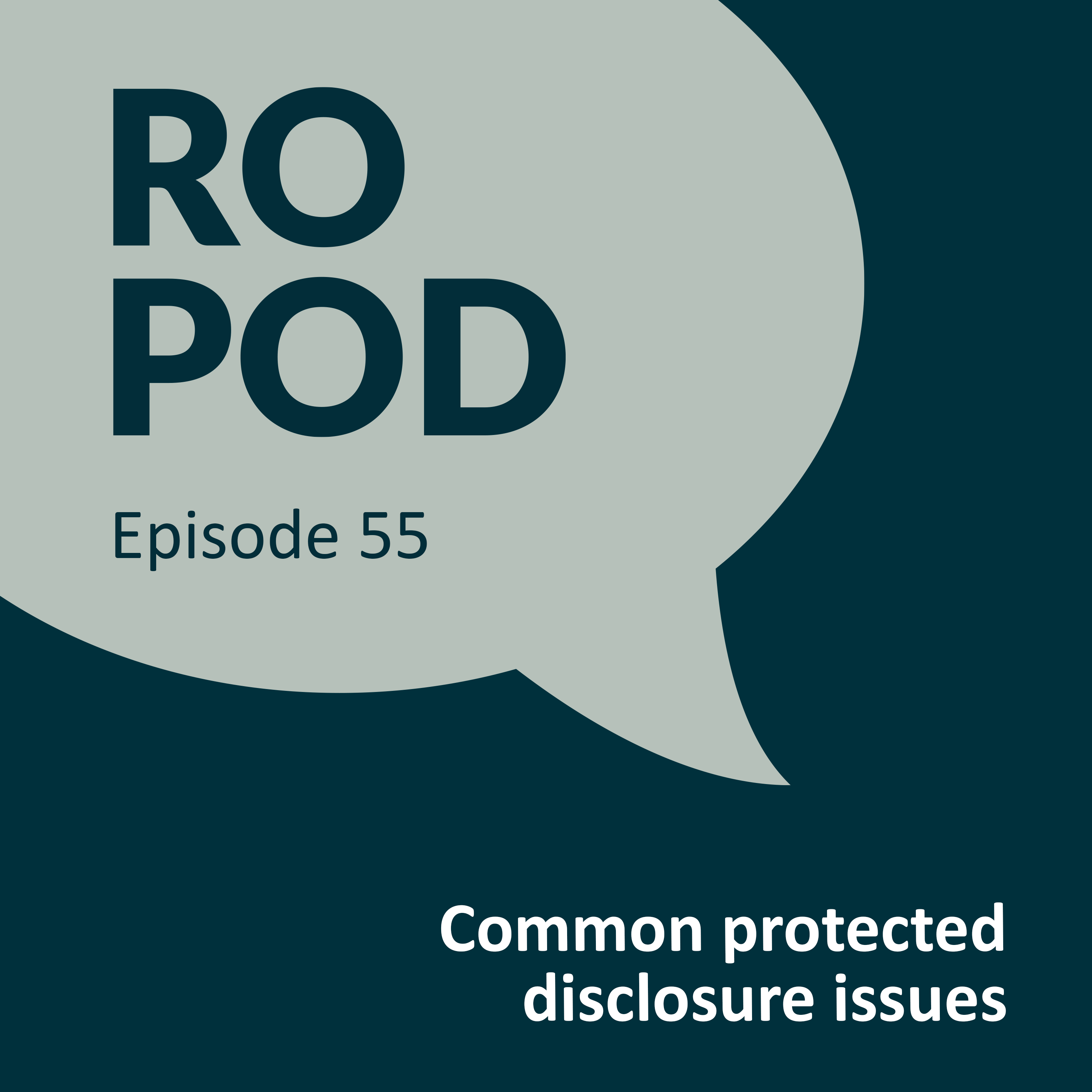 Episode 55: Common protected disclosure issues