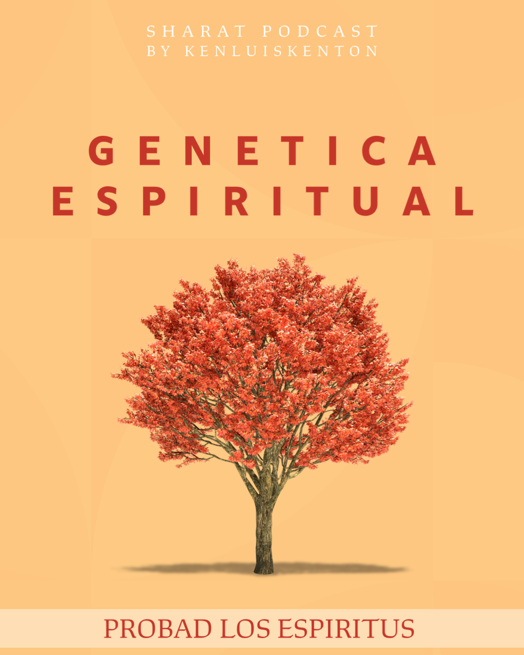 PROBAD LOS ESPIRITUS