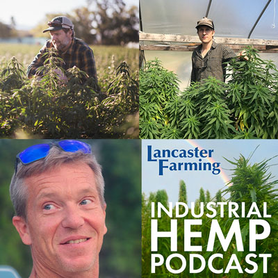 Untangling The Language: What We Mean When We Say Hemp