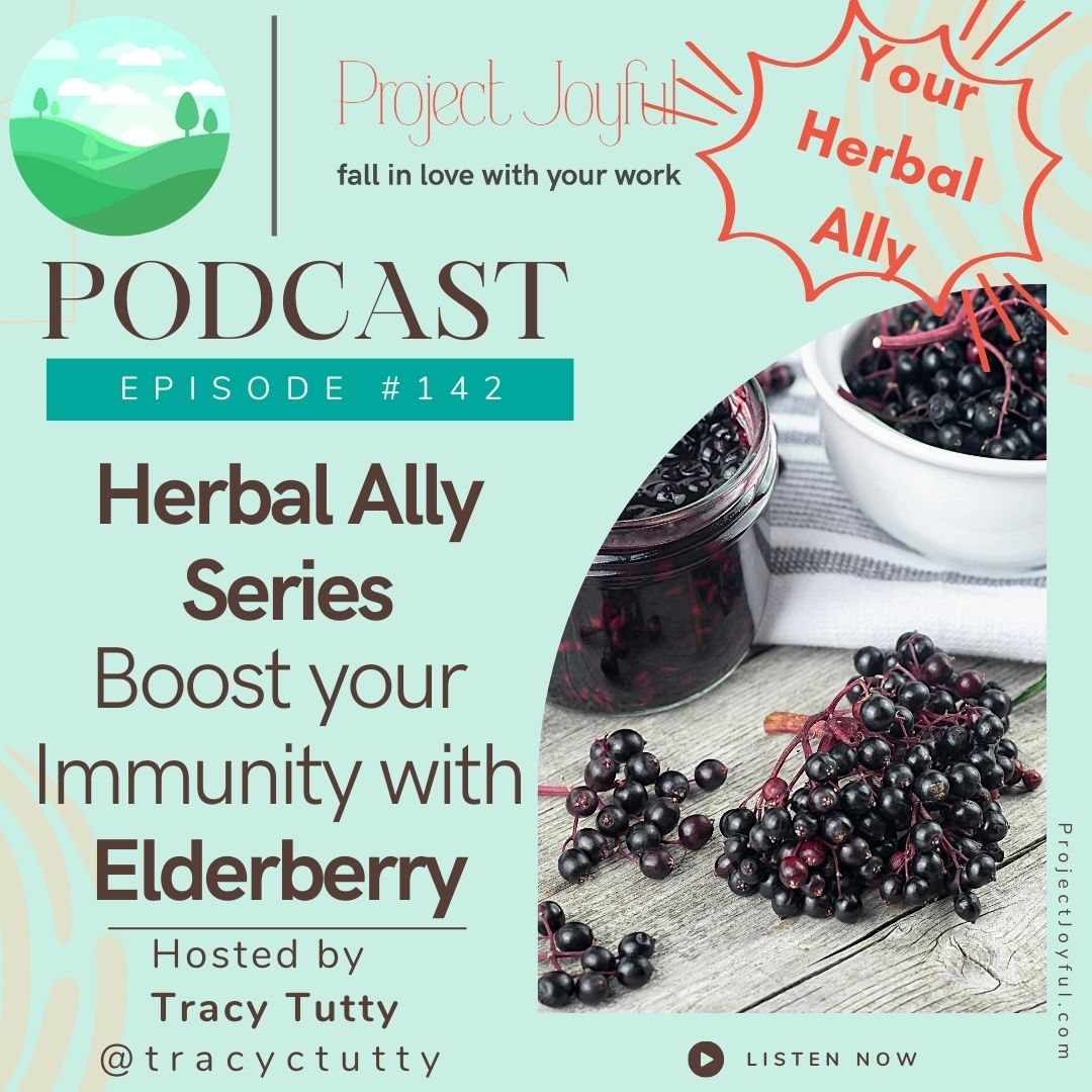 Boost your Immunity with Elderberry