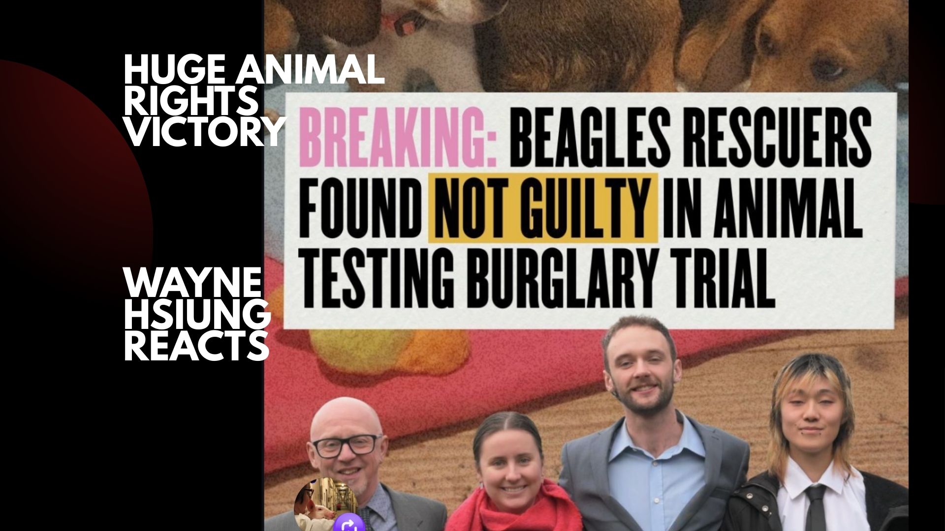Puppy Justice Wins! -- Beagle Rescuers NOT GUILTY