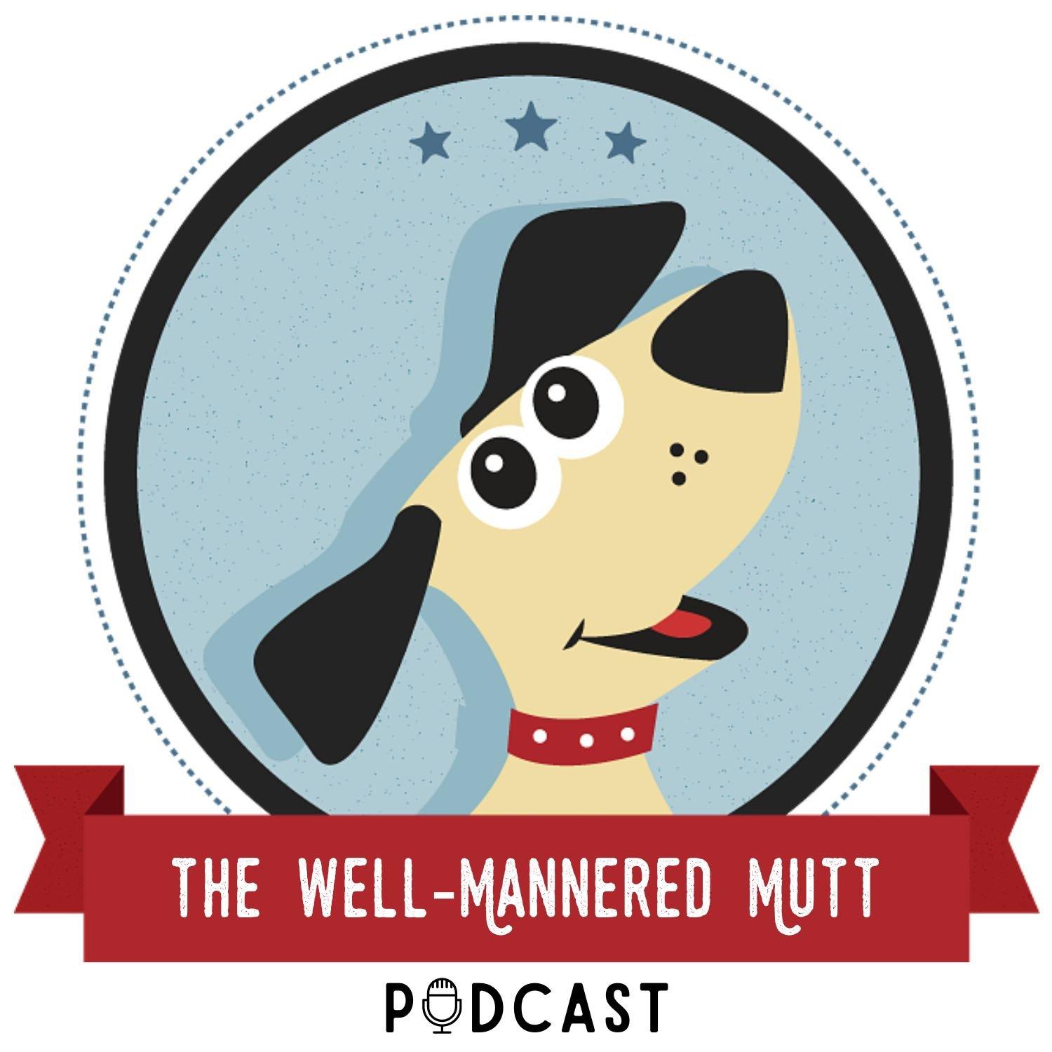 What Is Small Dog Syndrome? How to Train Small Dogs So They’re Confident, Not Cranky