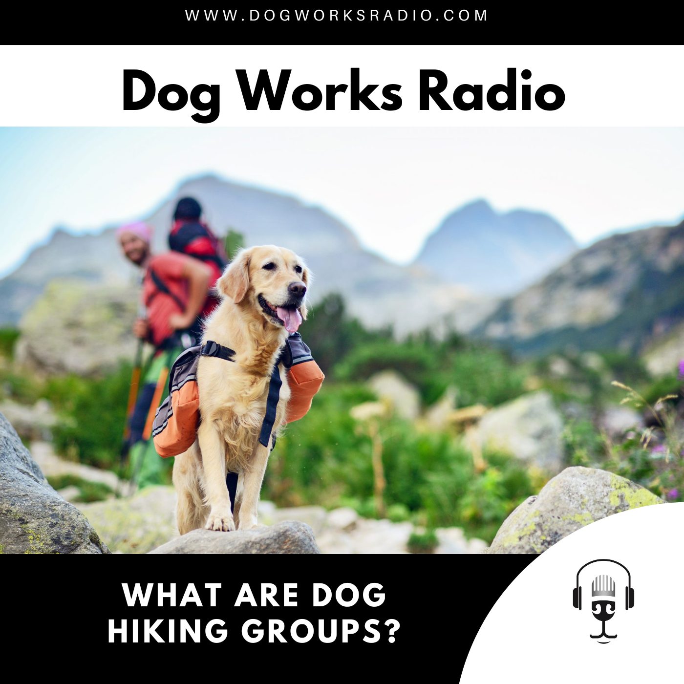Dog Works Radio