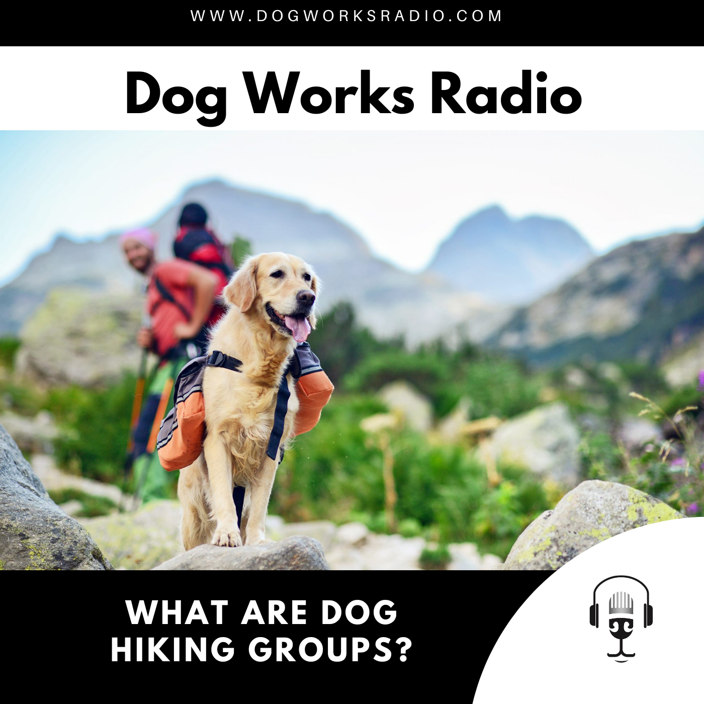 What are dog hiking groups?