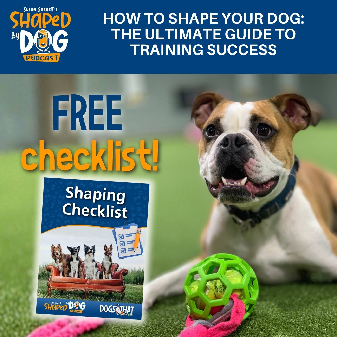 How To Shape Your Dog: The Ultimate Guide To Training Success #328 How To Shape Your Dog: The Ultimate Guide To Training Success #328