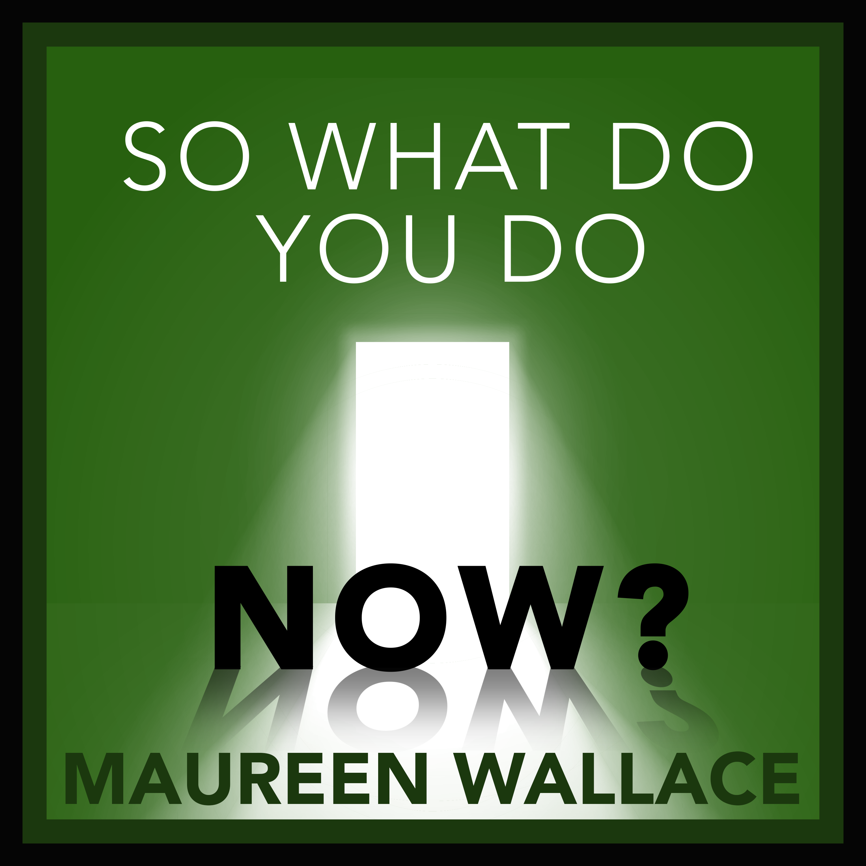 So What Do You Do Now?