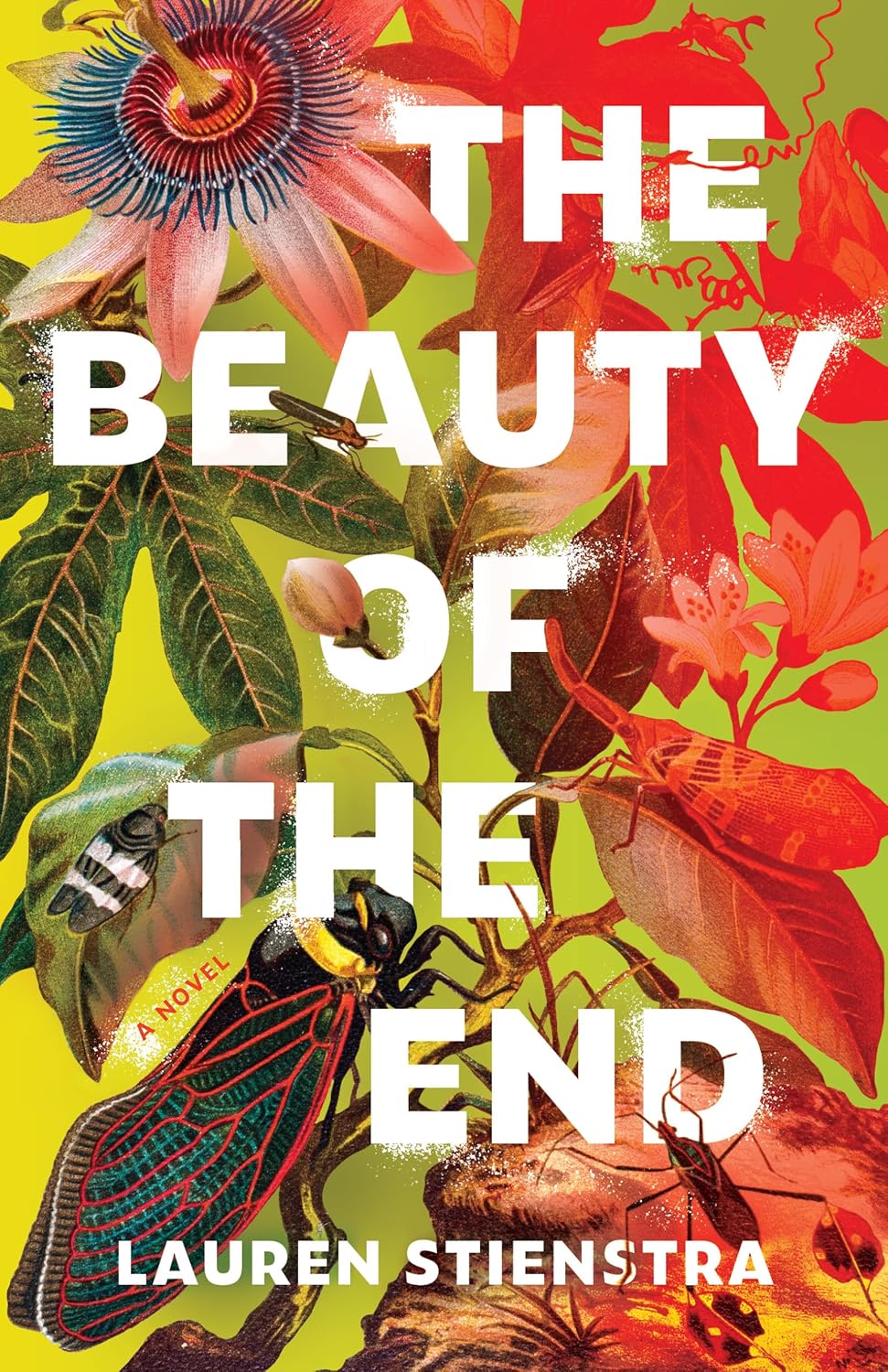 Ep: 1800 Lauren Stienstra - The Beauty of the End