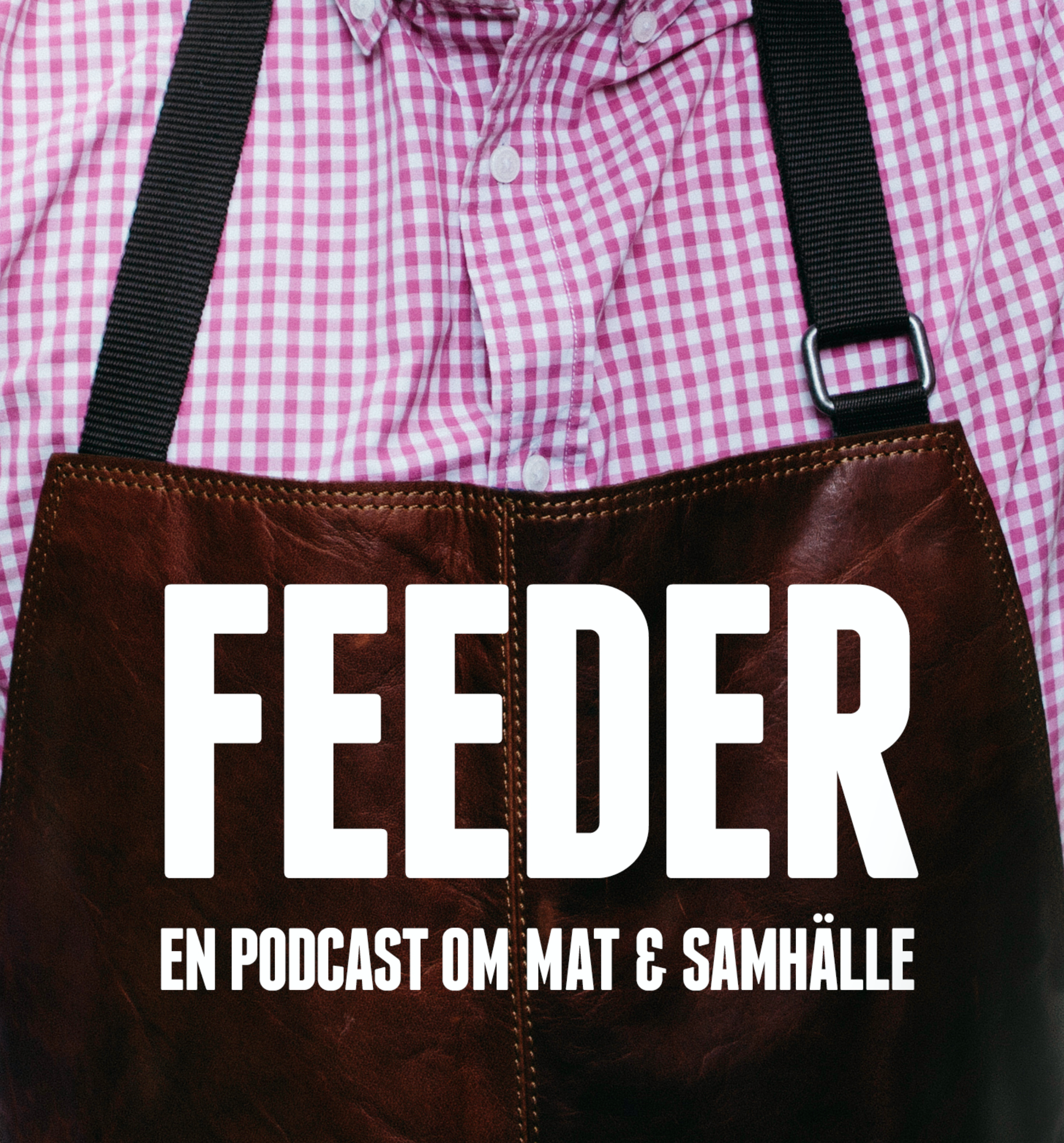 Feeder