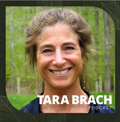 Meditation: Inner Space -  Gateway to Open Awareness (20:08)Episode 1546 by Tara Brach