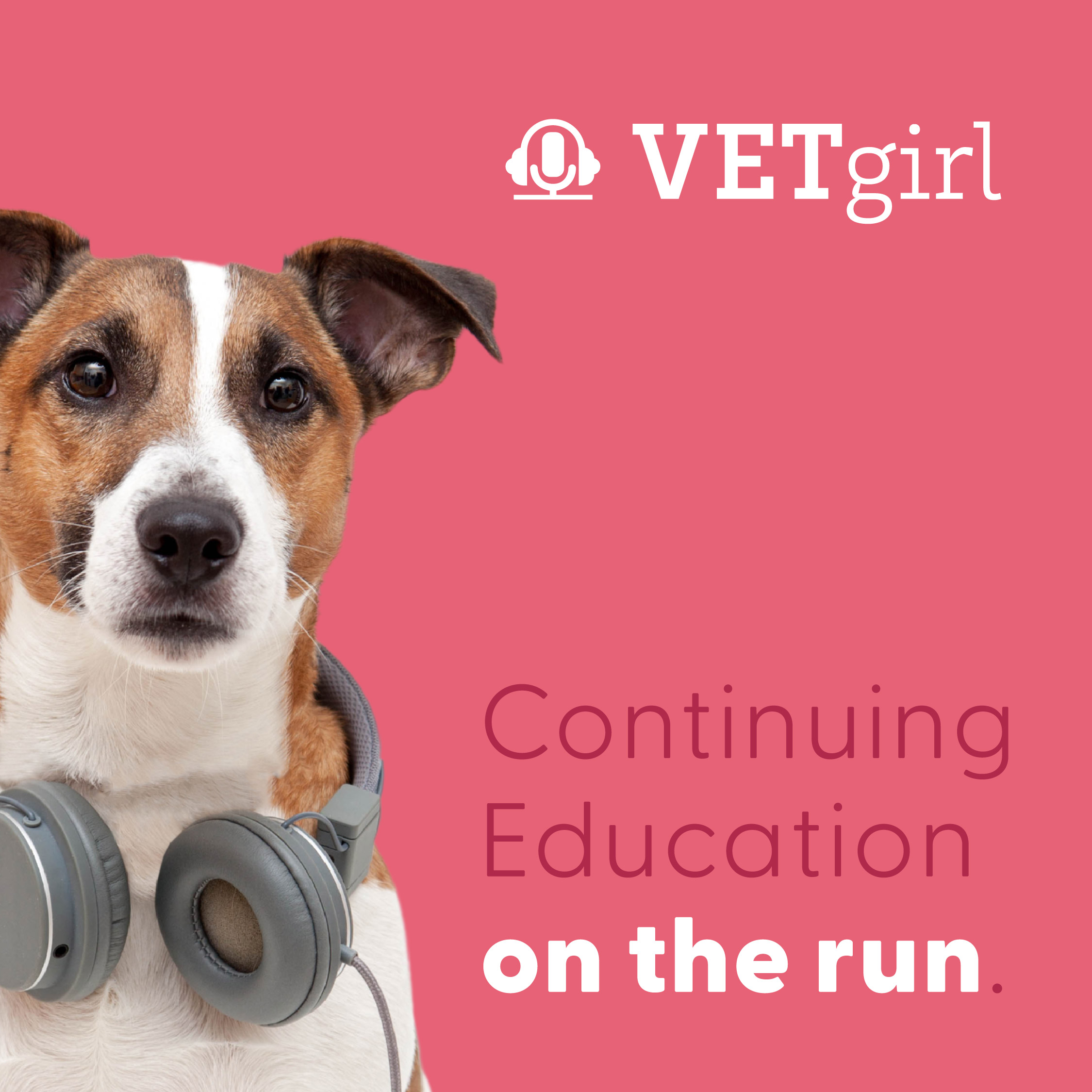 VETgirl Veterinary Continuing Education Podcasts