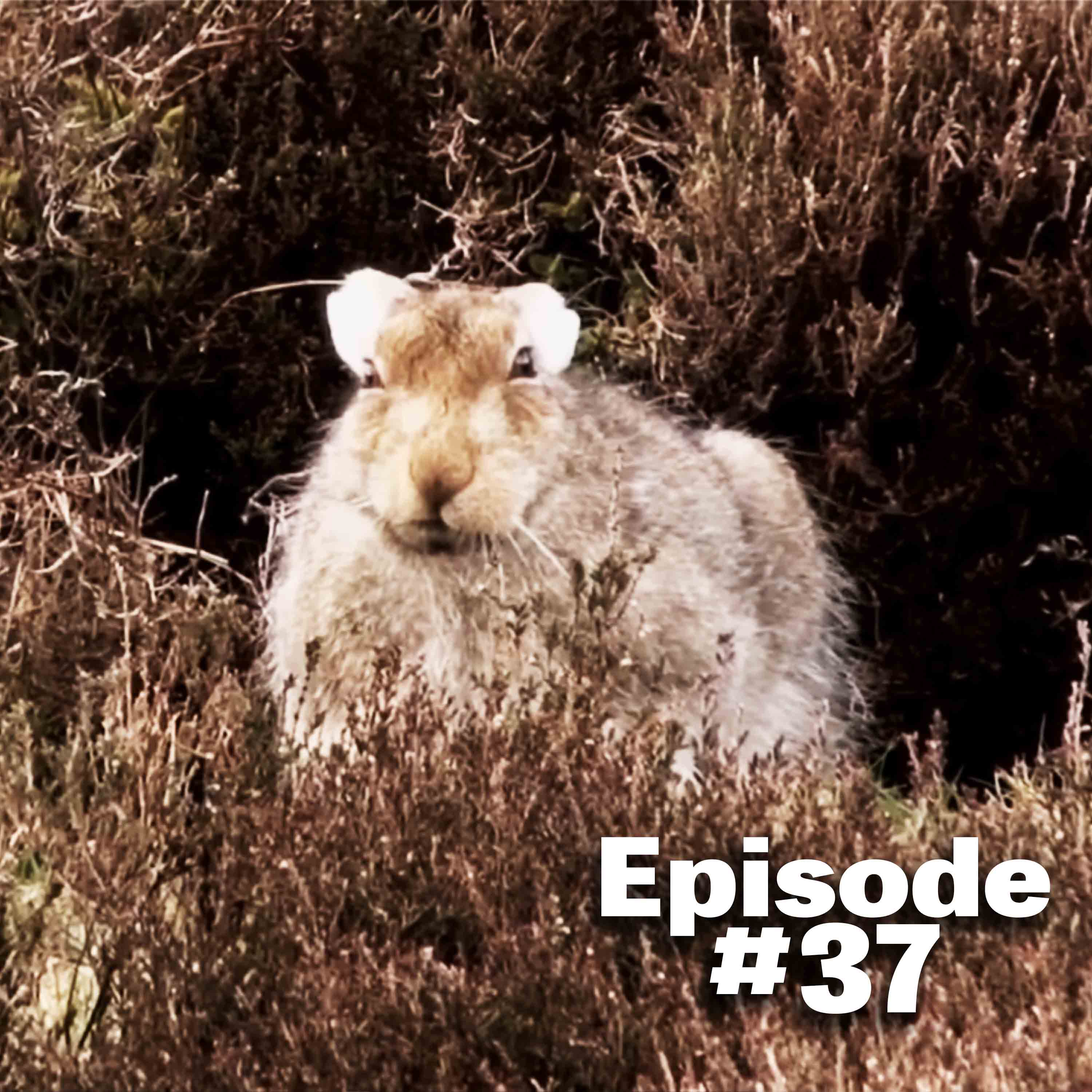 FieldsportsChannel\'s Podcast
