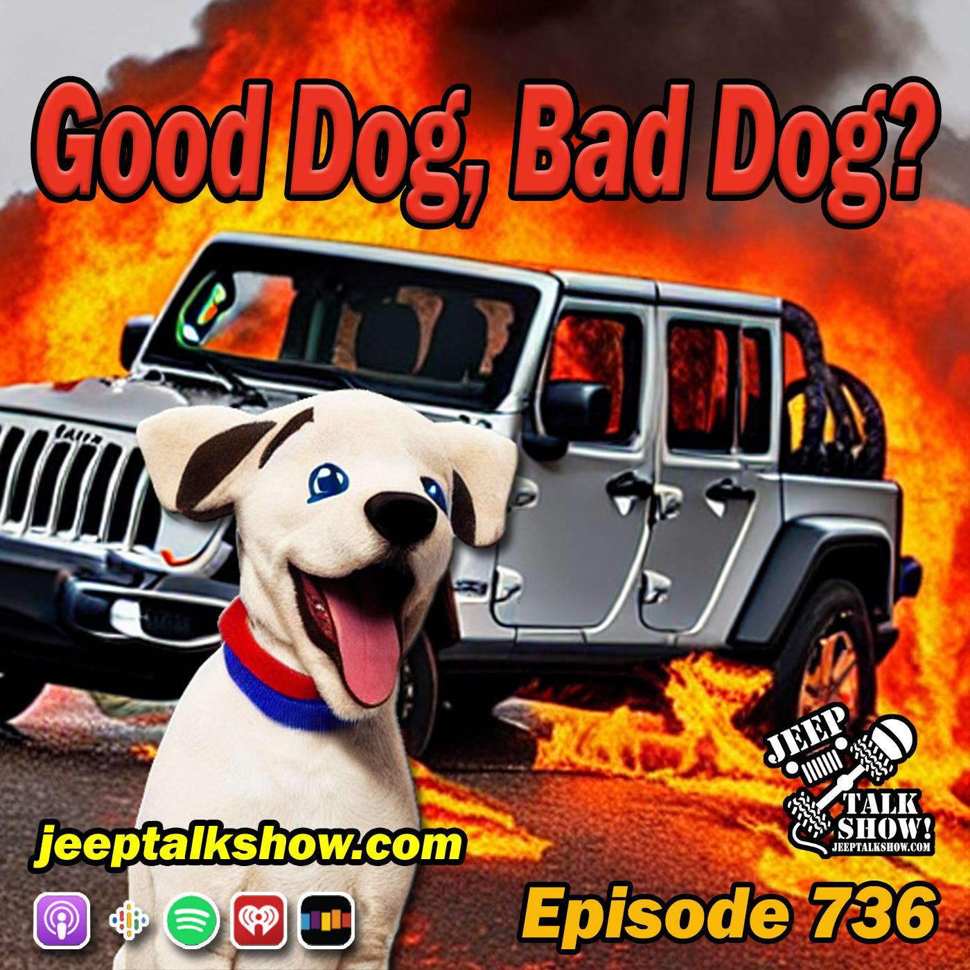 Episode 736 - Good Dog, Bad Dog?