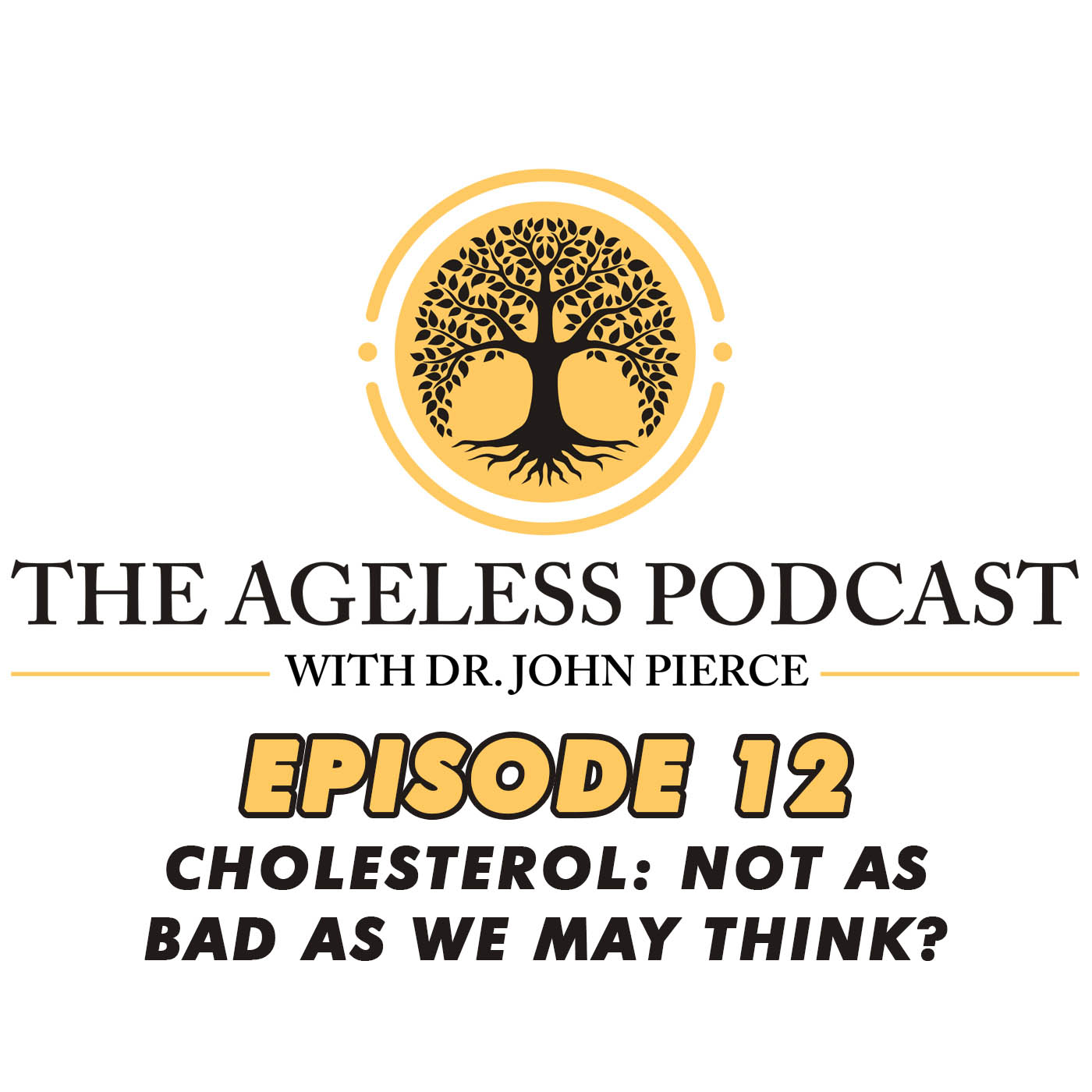 The Ageless Podcast: Episode 12