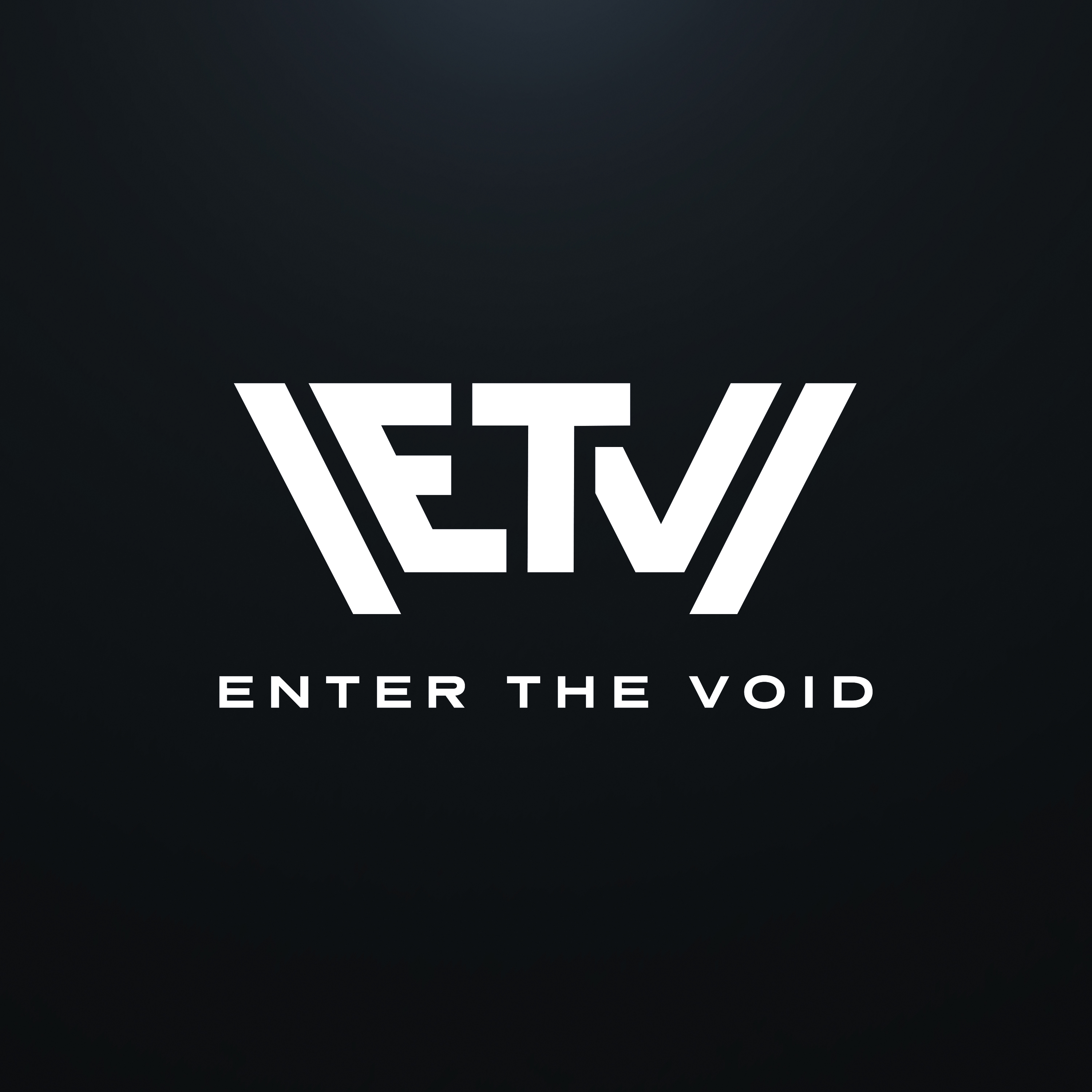 Enter The Void