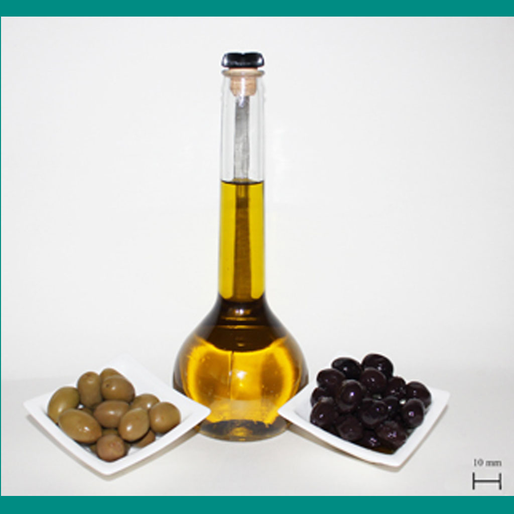 The Oil Tree