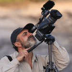 Bird Podcast with Shoba Narayan
