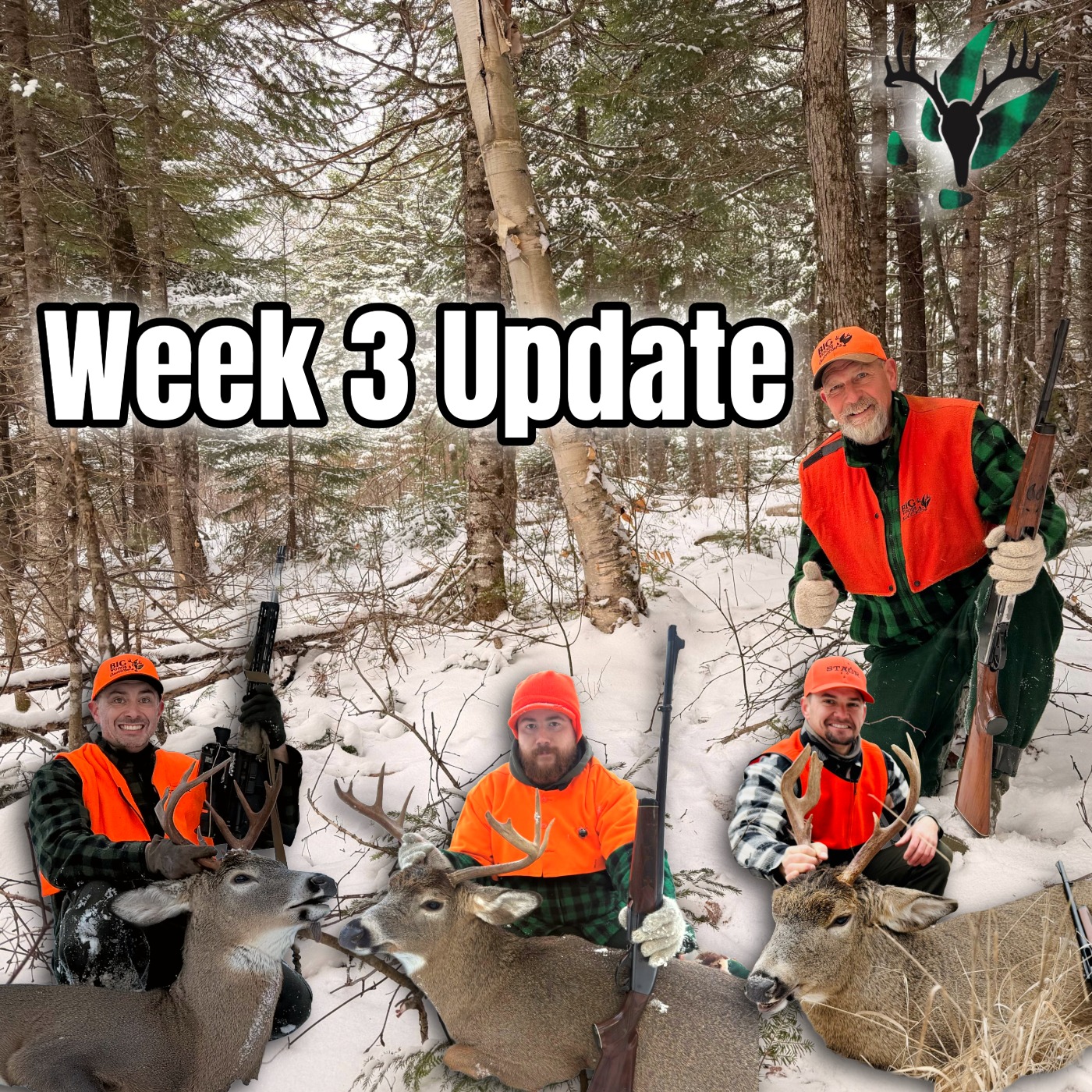 Deer Season Week 3 Update | Big Woods Bucks Podcast Ep 183