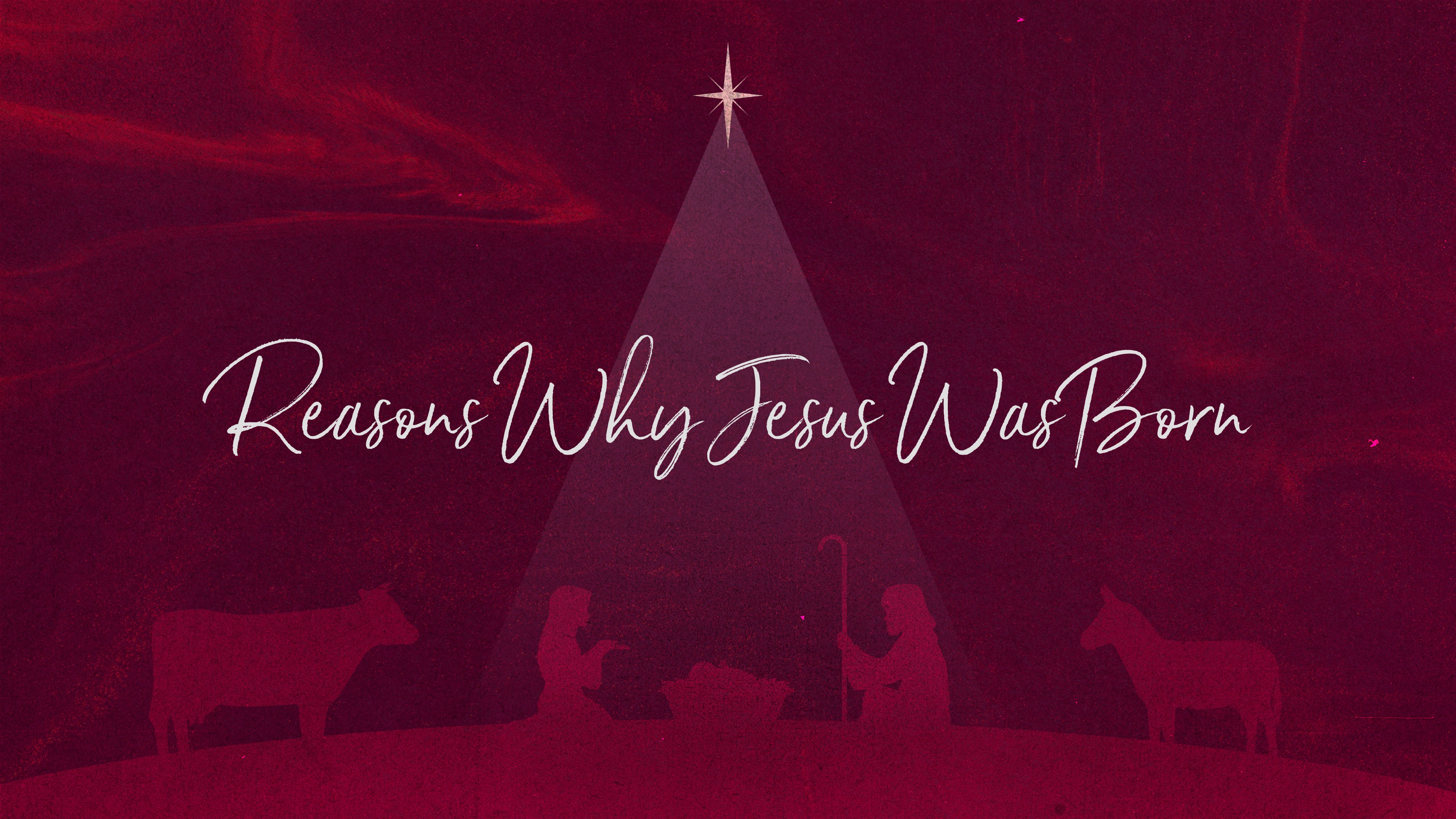 Winning Moments with Pastor Tim Finlayson