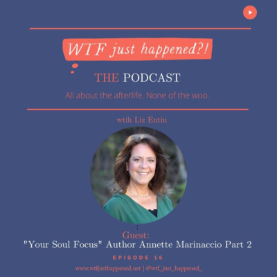 WTF Just Happened?!: All about the afterlife. No woo.