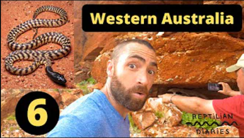 Session Ten: Herping In The Most Exotic Countries In The World With Frank Colacicco