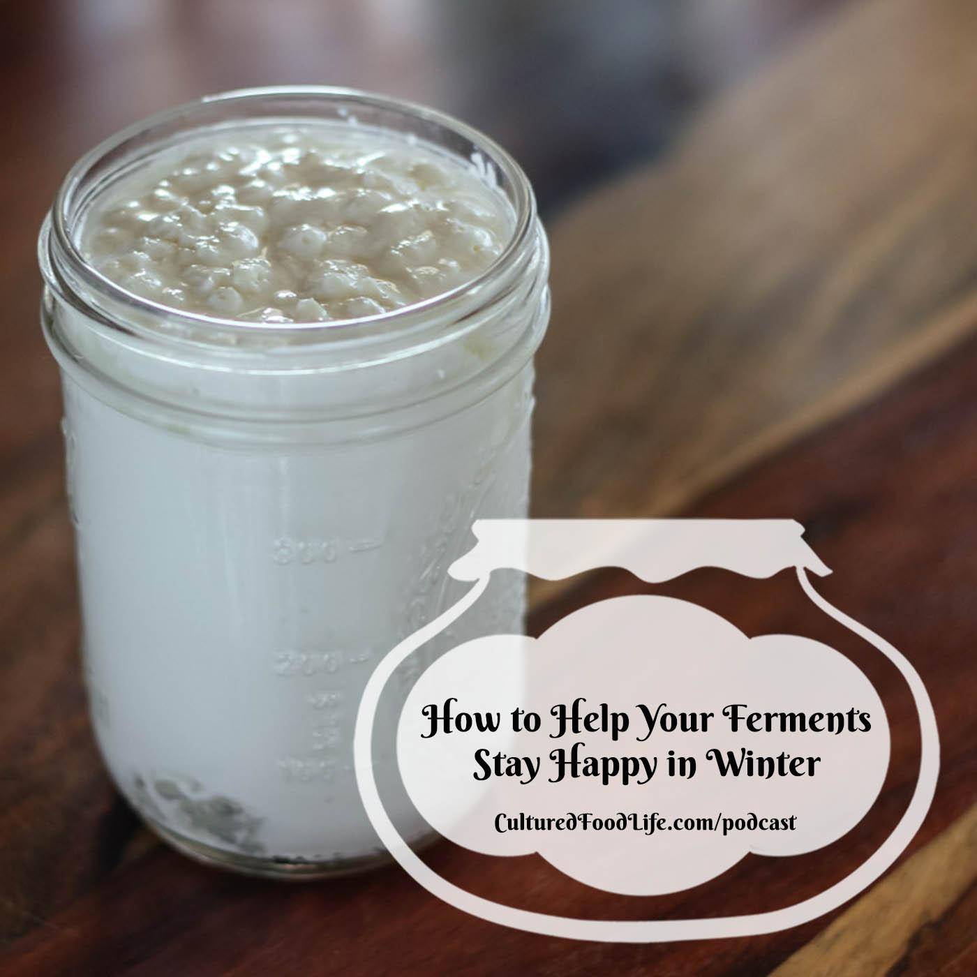Episode 338: How to Help Your Ferments Stay Happy in Winter