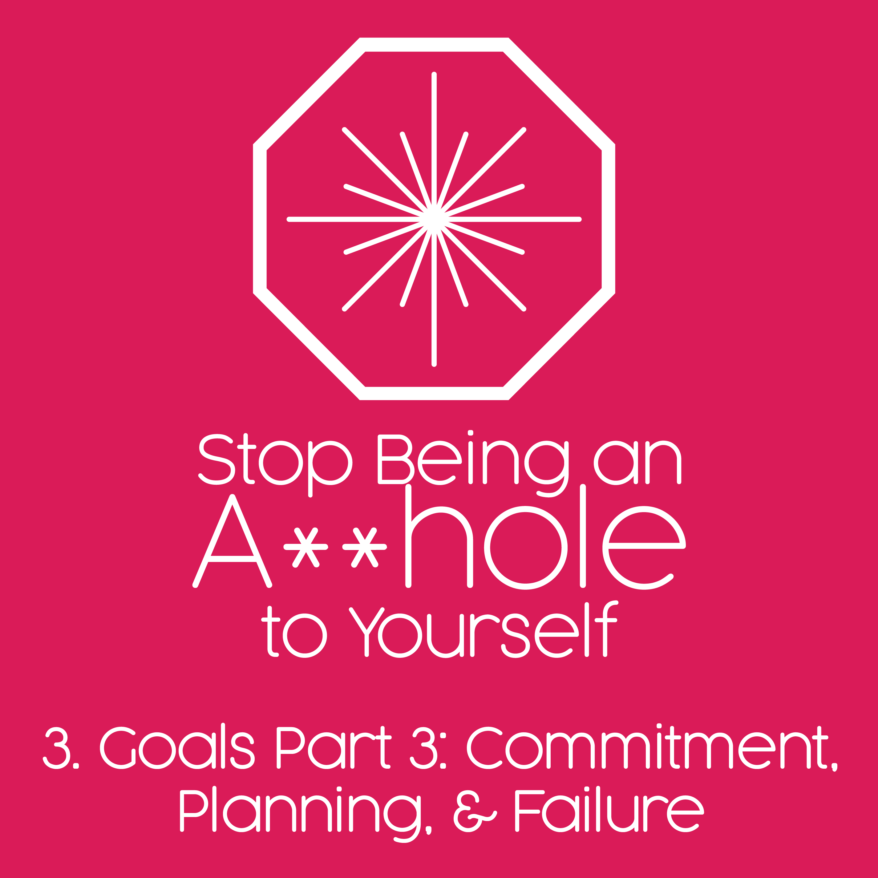3. Making a Plan and Following Thru without Being an Asshole (Goals 3) 3. Making a Plan and Following Thru without Being an Asshole (Goals 3)