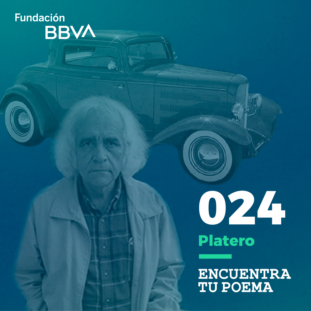 Fundación BBVA Perú
