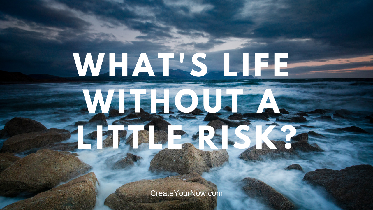 1485 What's Life Without A Little Risk?