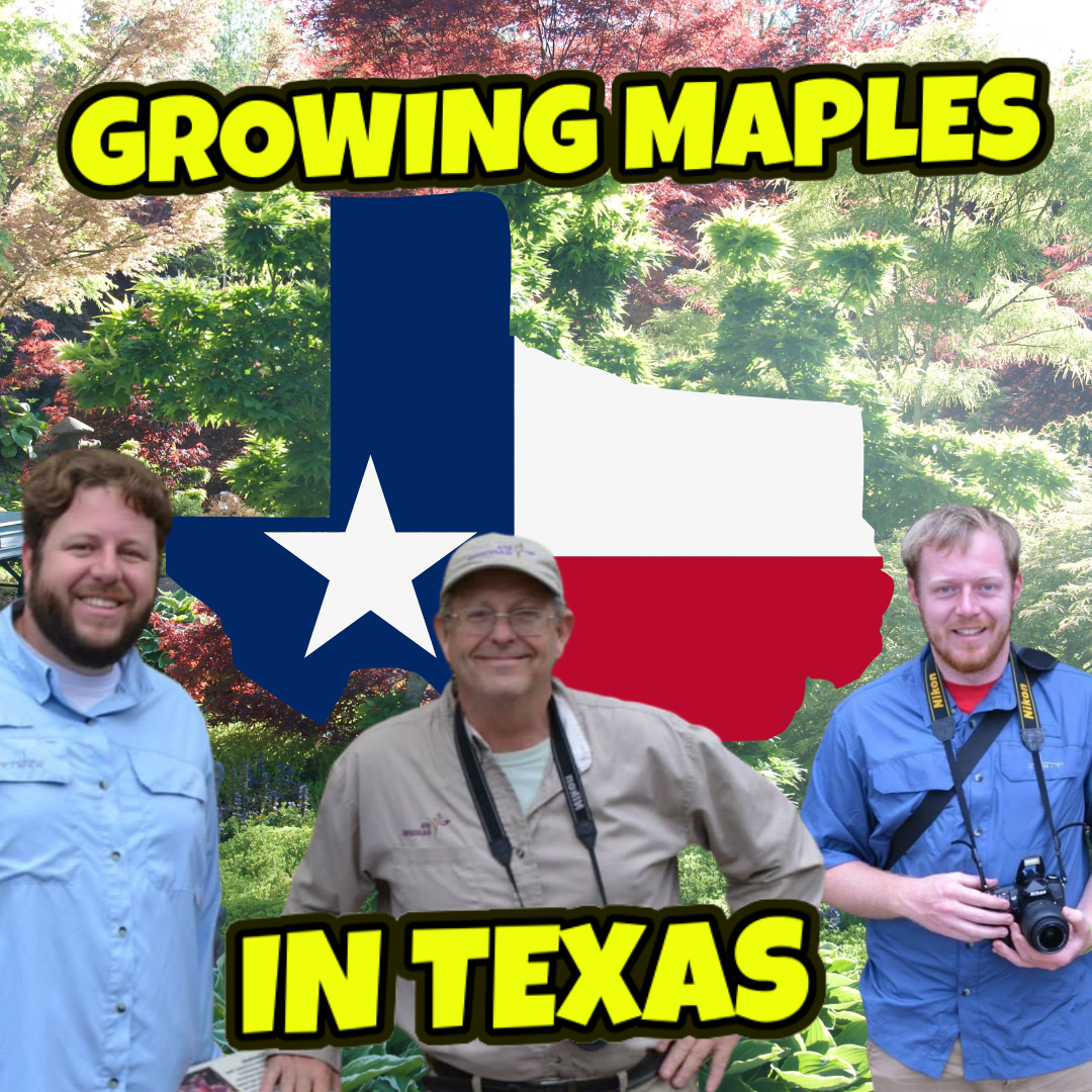 Plant & Japanese Maple Expert Dr. David Creech | Growing Maples in Texas | MrMaple Podcast #17