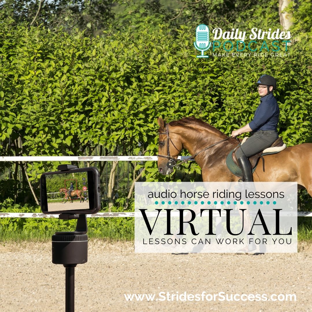 How Virtual Horse Riding Lessons Can Transform Your Riding