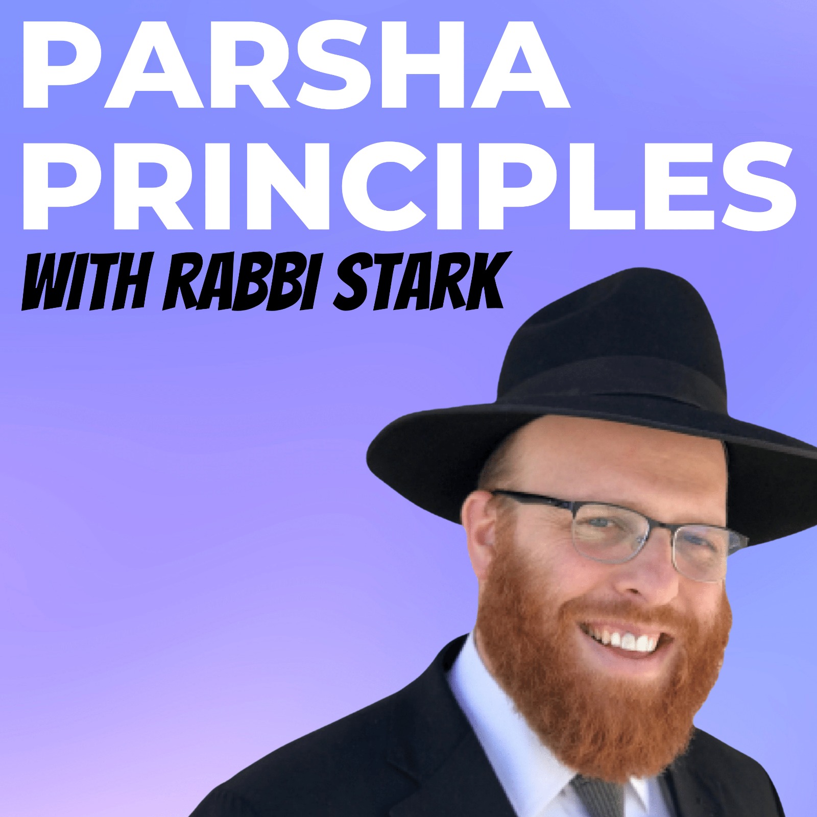 The Rabbi Stark Podcast