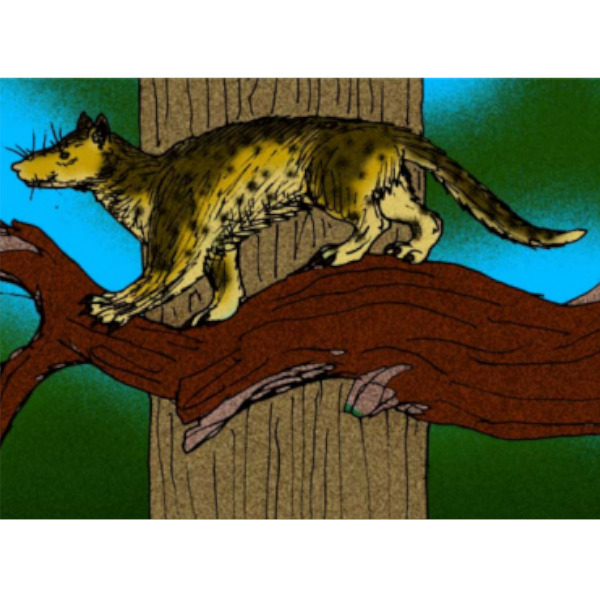 Wolves, Tigers and Bears