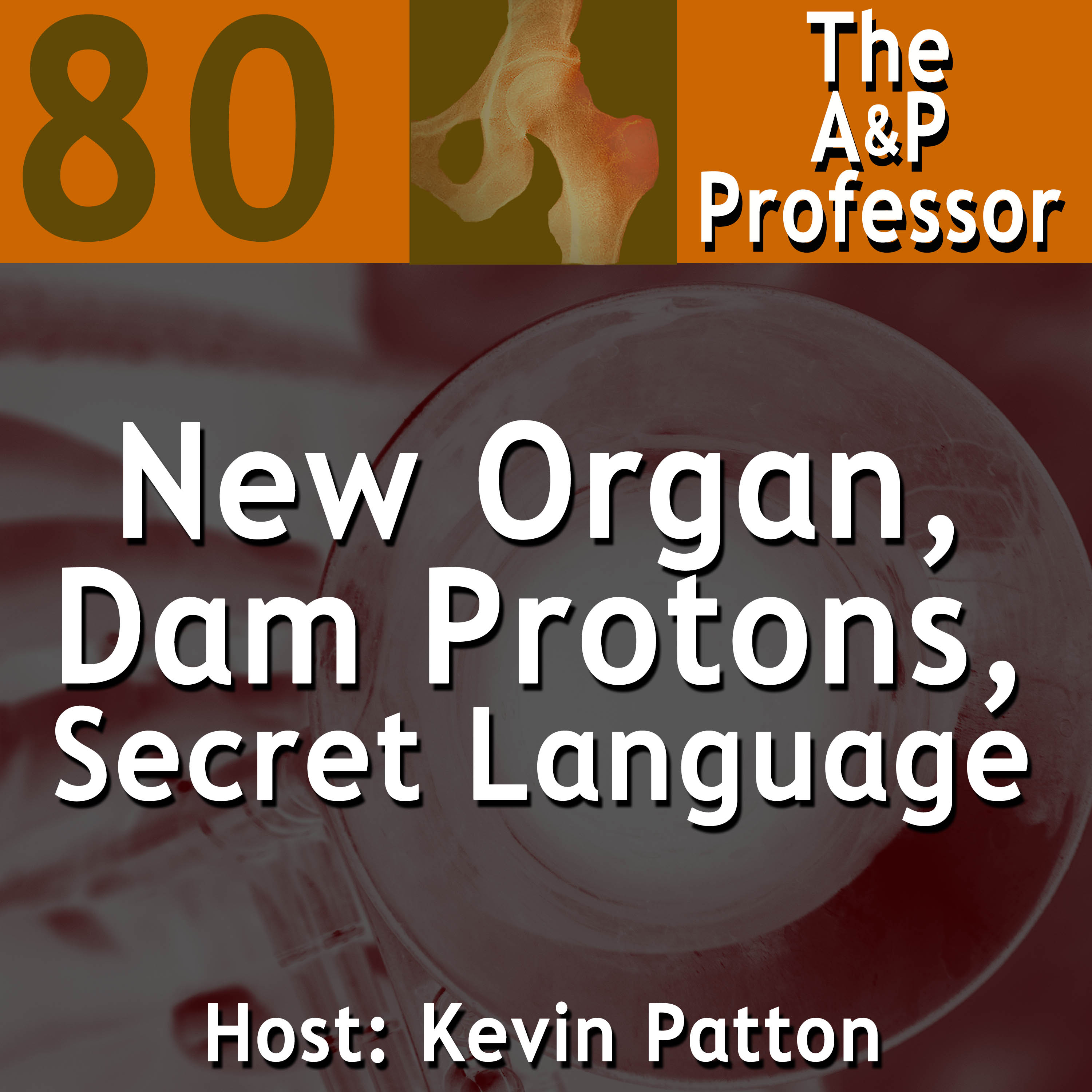 The A&P Professor